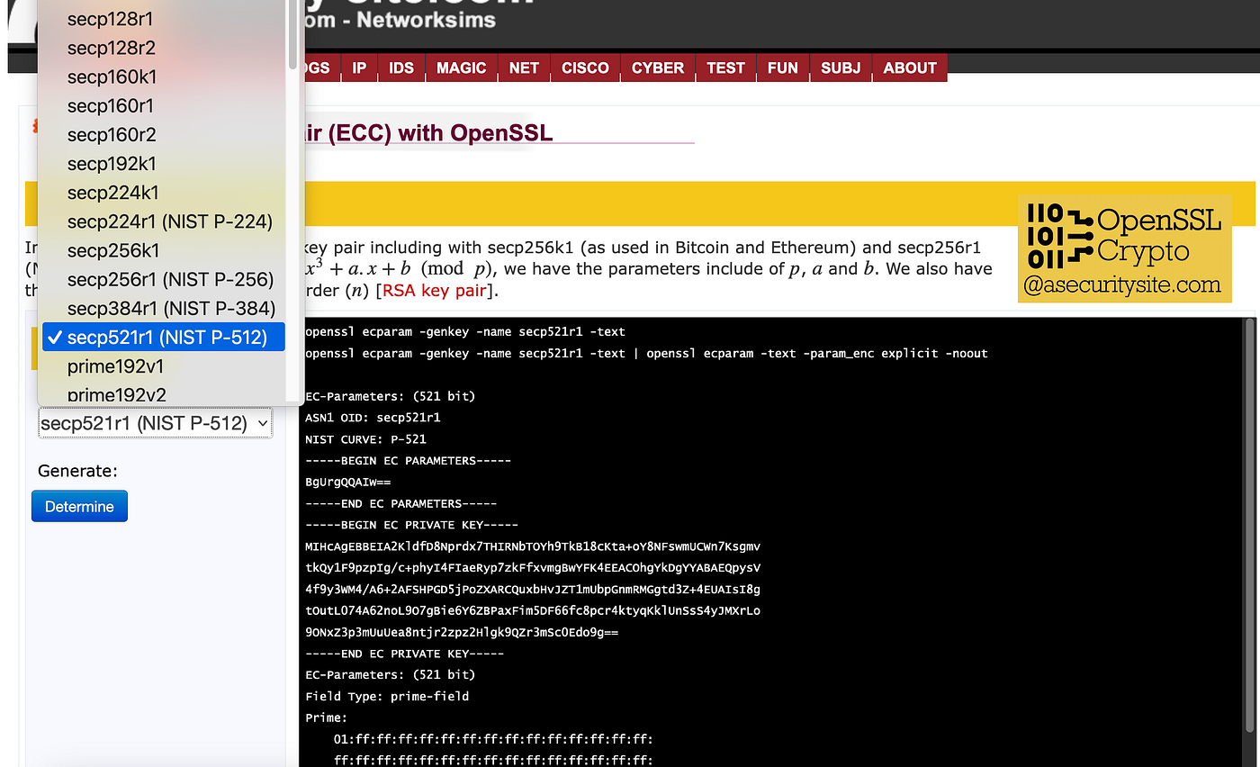 Crazy Crypto: Meet CVE-2024–31497 | by Prof Bill Buchanan OBE FRSE |  ASecuritySite: When Bob Met Alice | Medium
