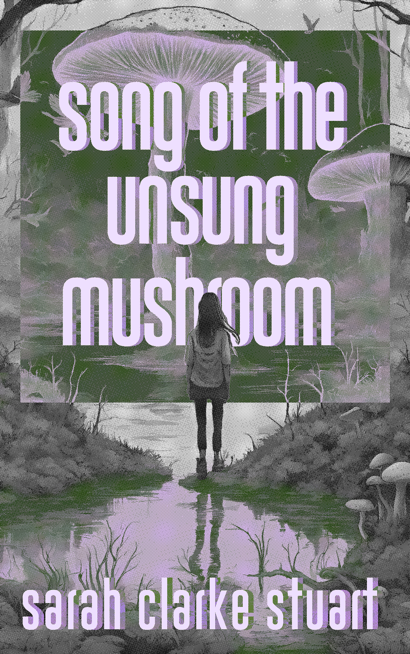 This Mycelium-like Novel Took Its Time