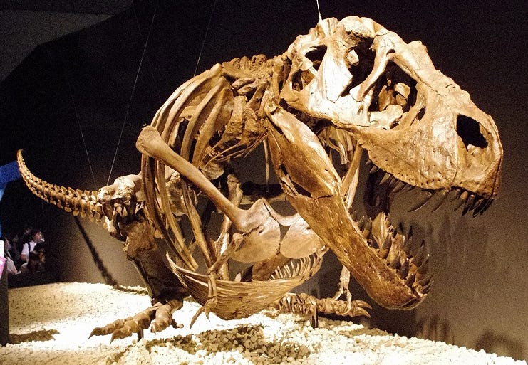 You Might Be Able to Outrun a T. Rex