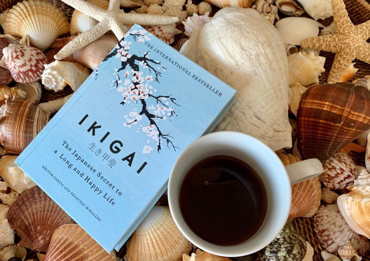 Does Ikigai book really help in finding Ikigai? / Books Teacup and Reviews