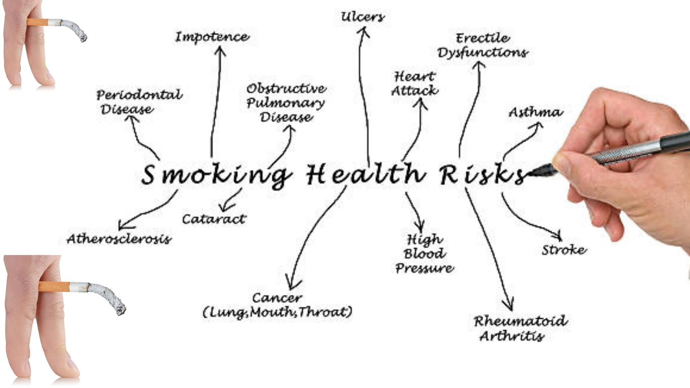 health benefits of tobacco plant Health Benefits of Tobacco: Douglass, Dr. William: 9789962636434:  Amazon.com: Books