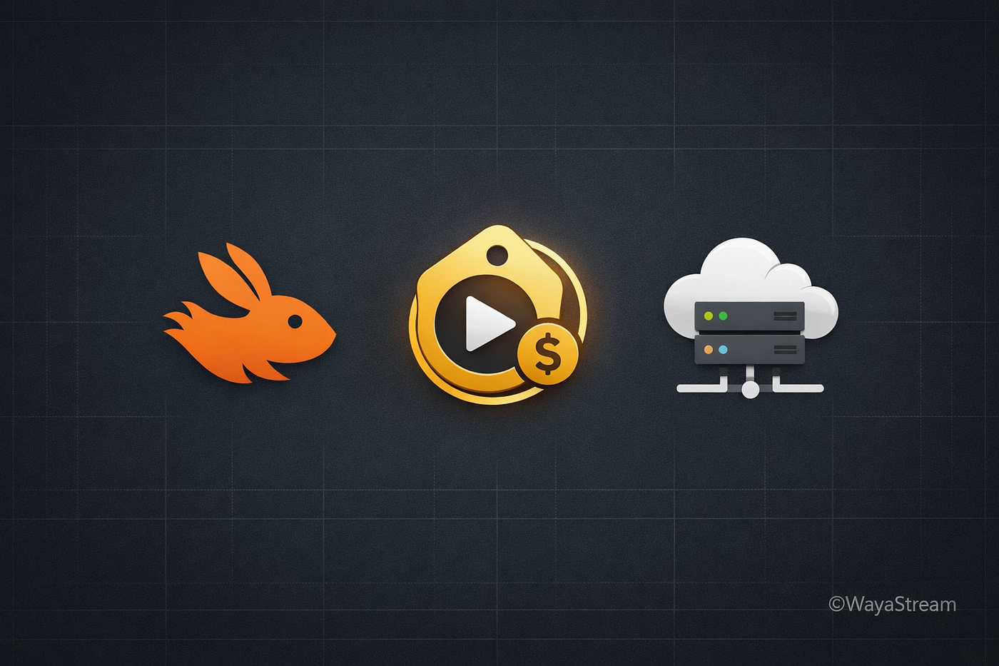 Looking for an inexpensive web host for video streaming