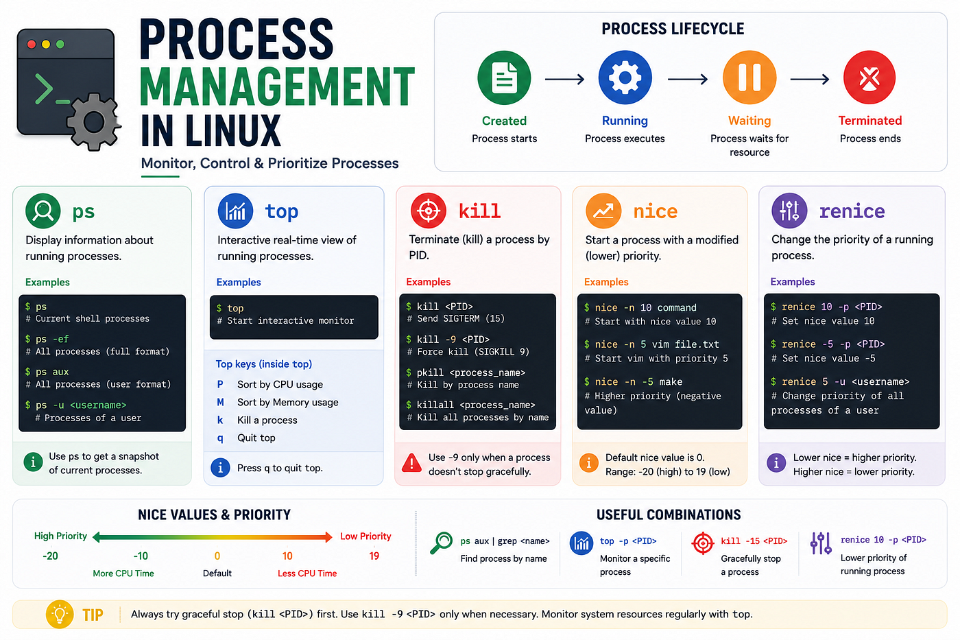 Overview of Process Management in Linux — screenshot created for educational purposes by the author