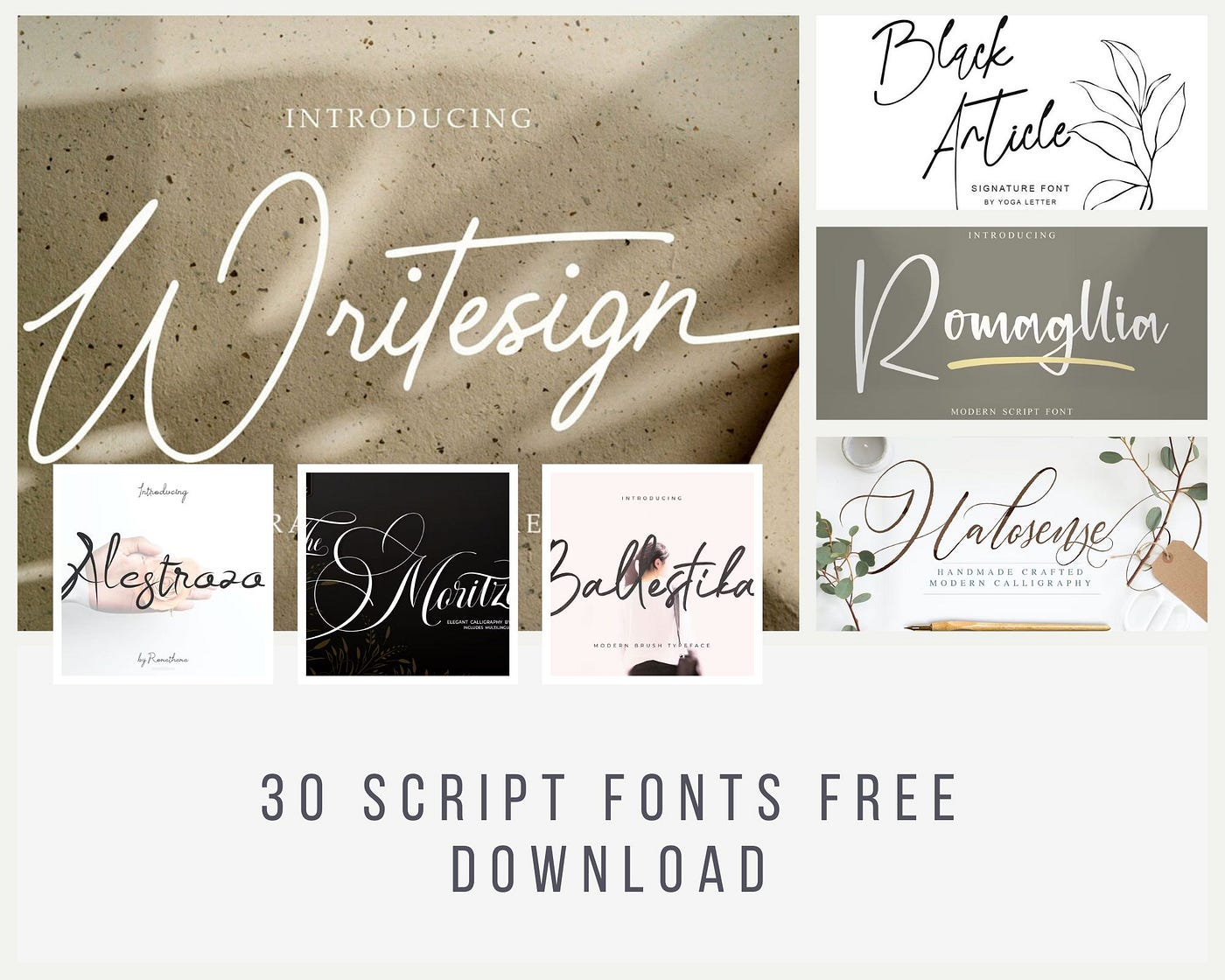 30 Script Fonts Free Download For 2024 | Bootcamp