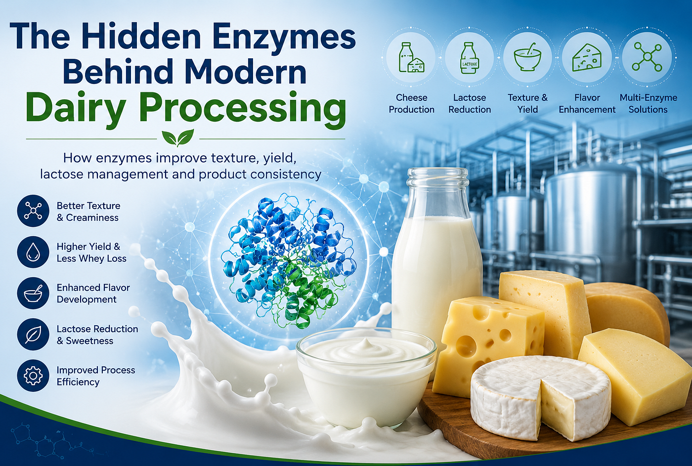 The Hidden Enzymes Behind Modern Dairy Processing