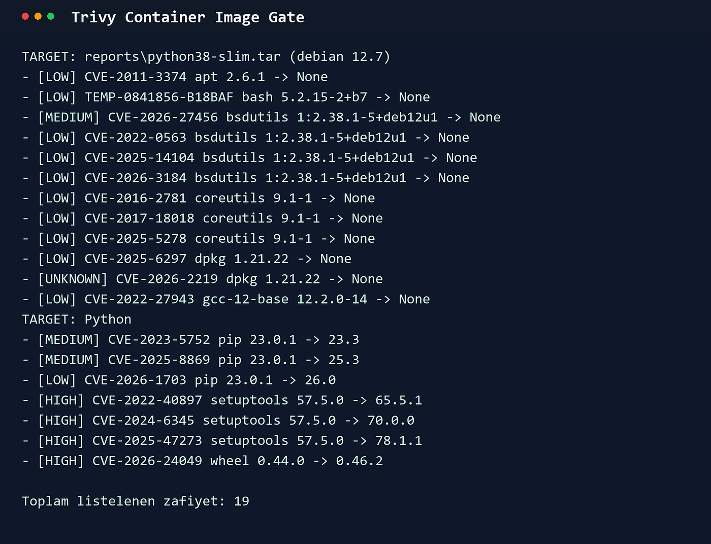 Container scanning output.