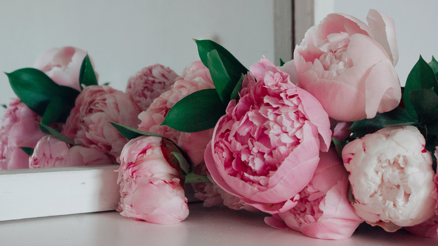 How Peonies Became the Ultimate Symbol of Luxury in Floral Gifts