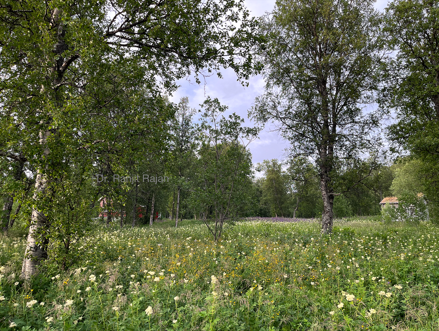A Norwegian Holiday (Part 27)