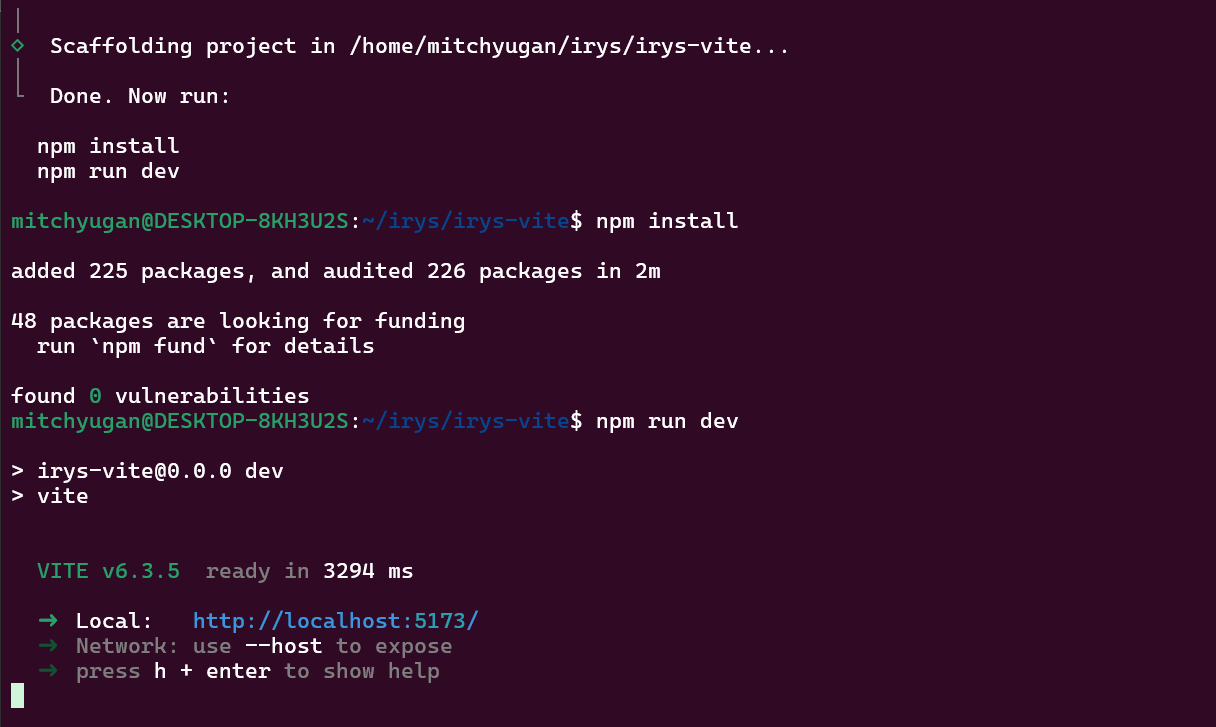 Building a React App with Irys on Vite: A Step-by-Step Guide to Uploading  Data to the Programmable Datachain | by Zizi Crypto | Medium