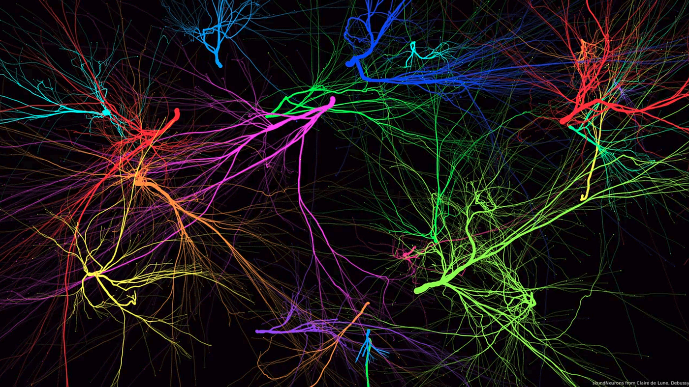 Neuron Pattern