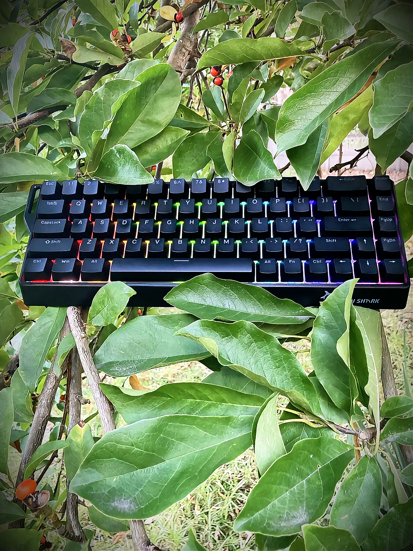 GamaKay NS68 tri-mod Review: Cheap Doesn't Mean Forgettable | by