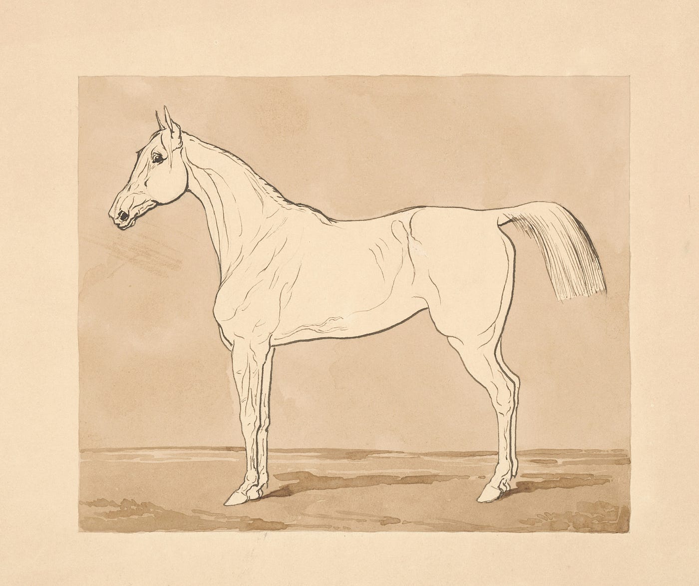 I Am Haunted by a Horse Named Charley