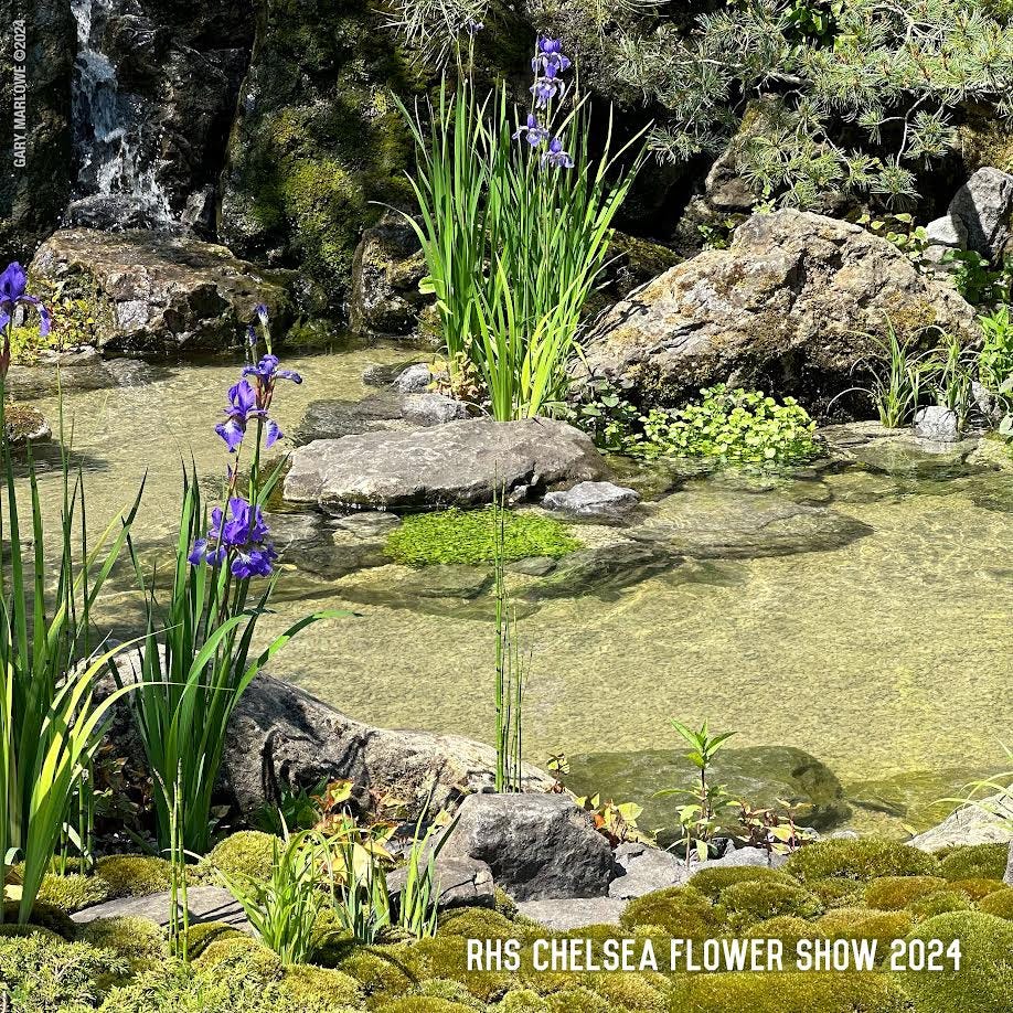 Shot! Kazuyuki Ishihara's MOROTO no IE Garden at the 2024 RHS