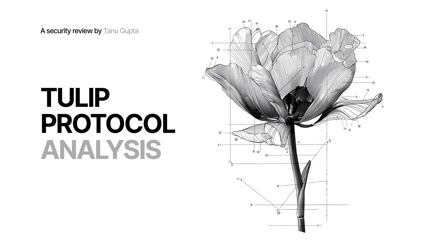 Trust, Risk, and the Flying Tulip PUT