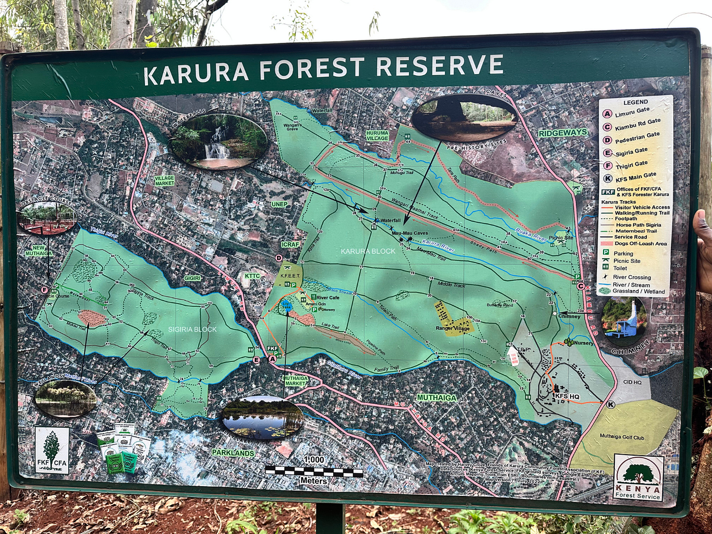 The Heartbeat of Nairobi: A Love Letter to Karura Forest