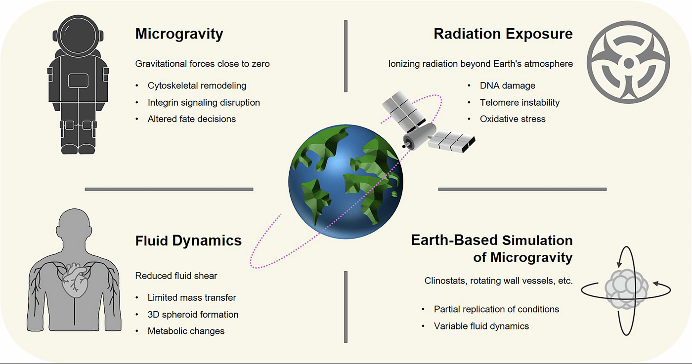 Mission Briefing: Decoding DNA Damage in Deep Space