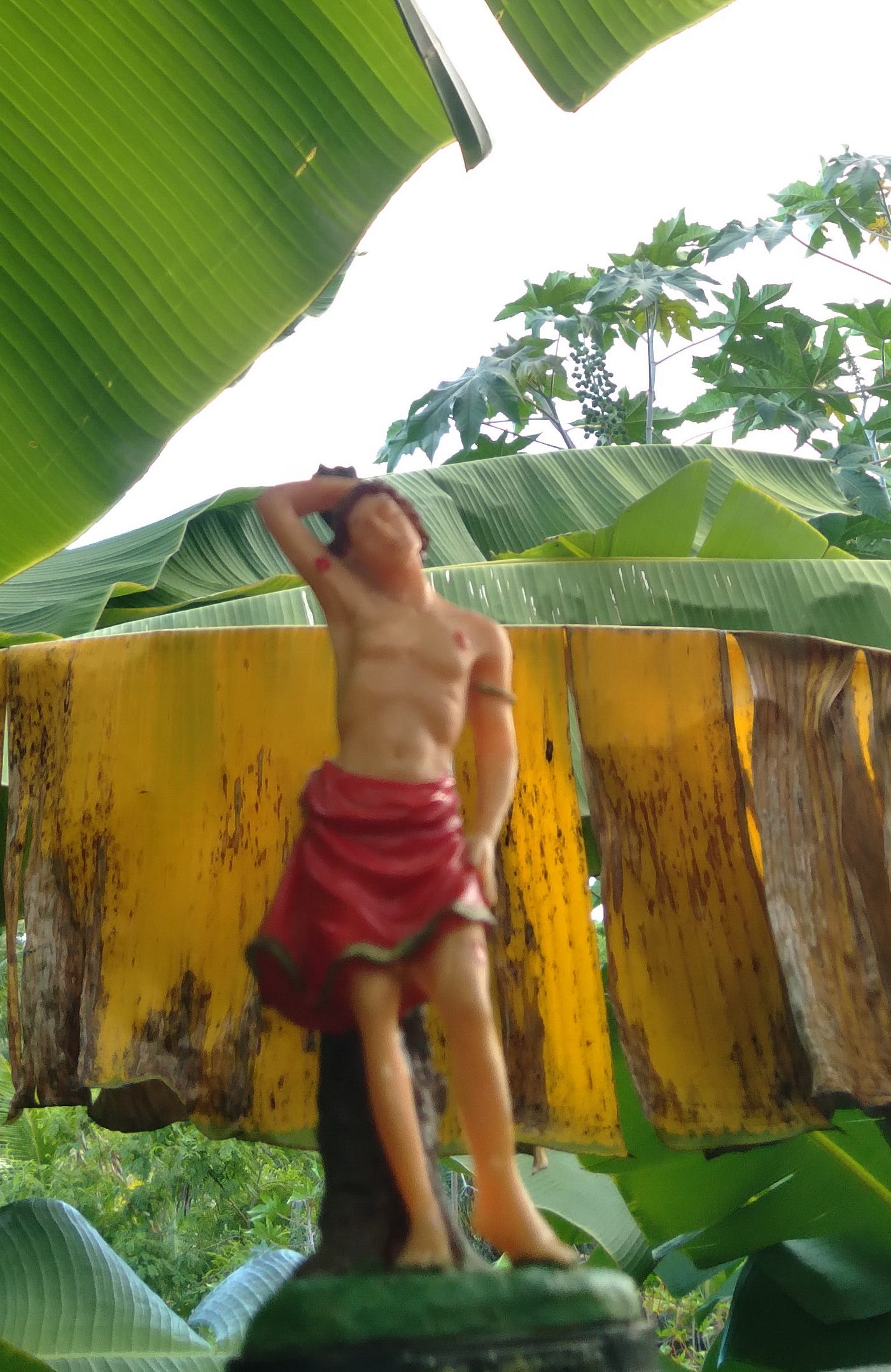 São Sebastião em verde e rosa