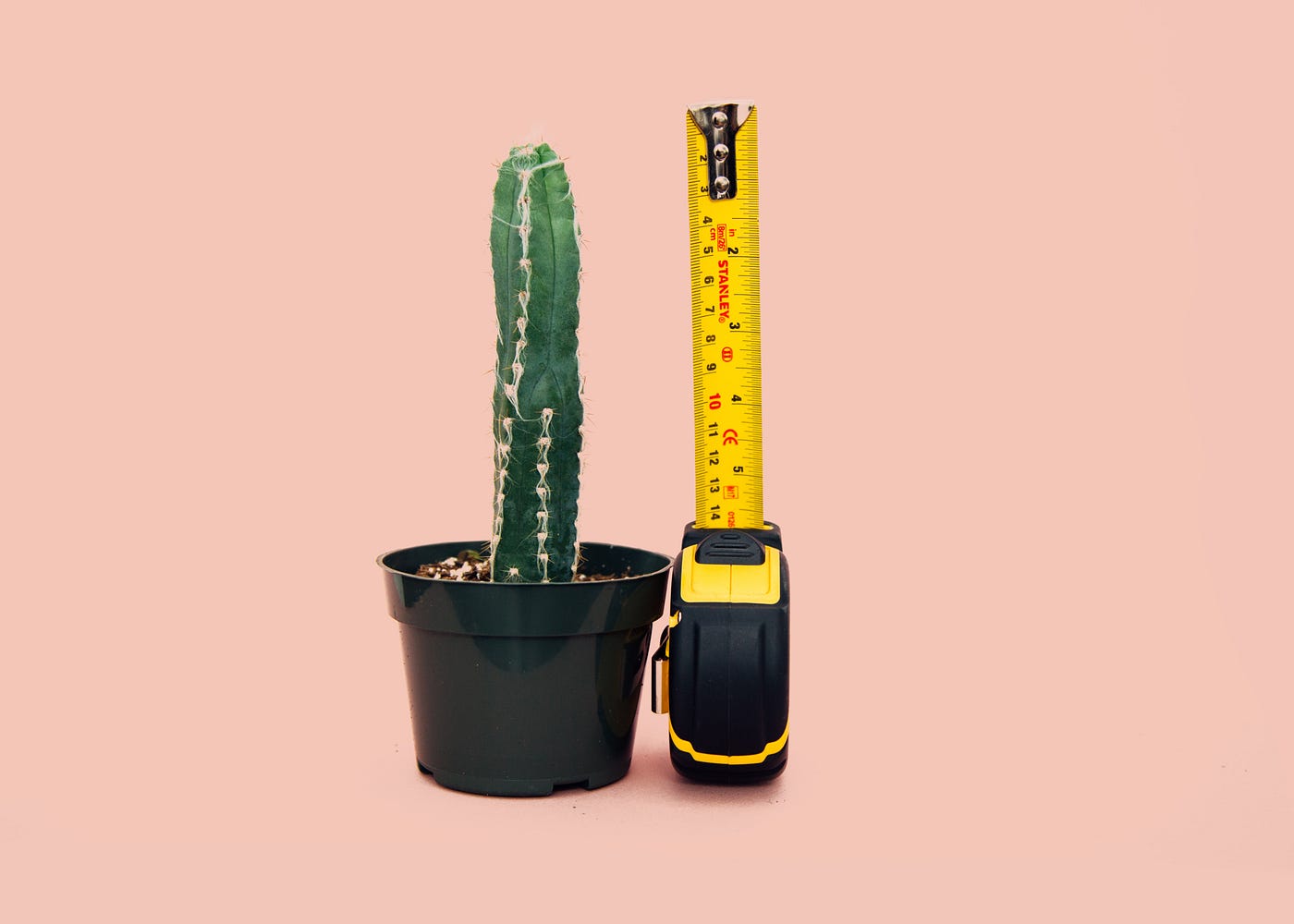 cactus jucarie Dancing Cactus Plush Toy Electronic With Song Dance Succulent Lovers Plush Cute Dancing Cactus Early Childhood Education Toy Aspicture main image 0