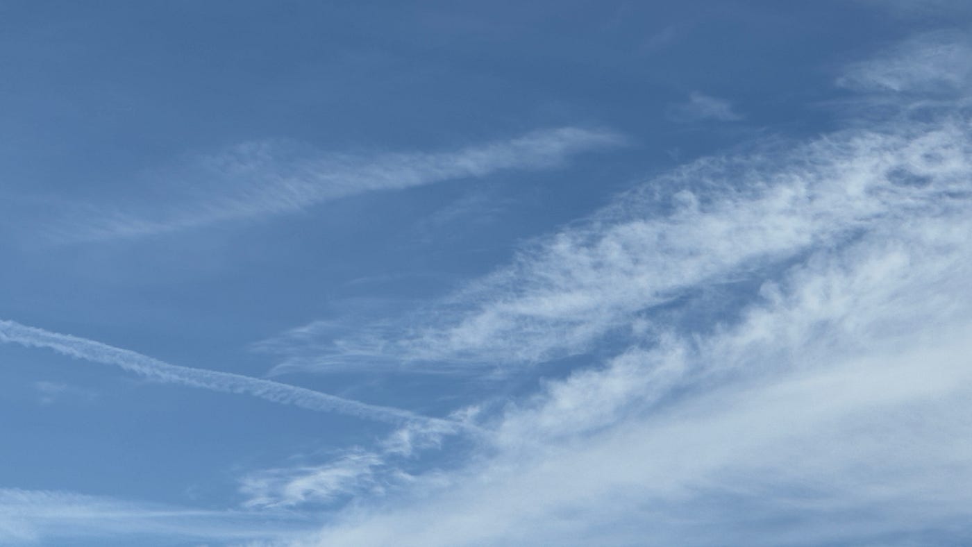 Bluesky: an open sky of opportunities for small businesses?