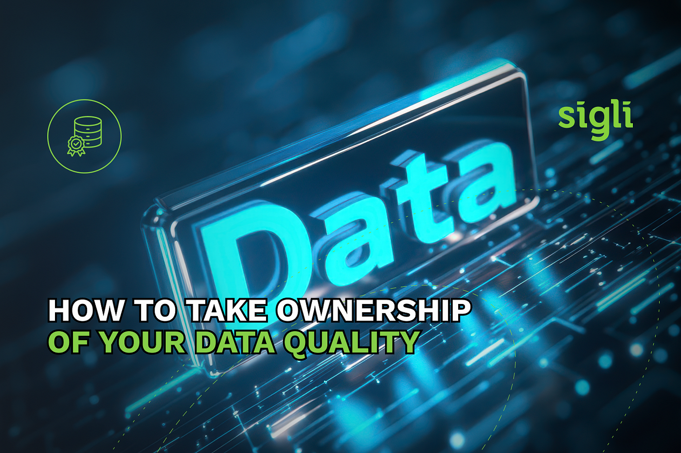 Data Mapping and QA Services Benelux: How to Take Ownership of Your Data Quality — Sigli