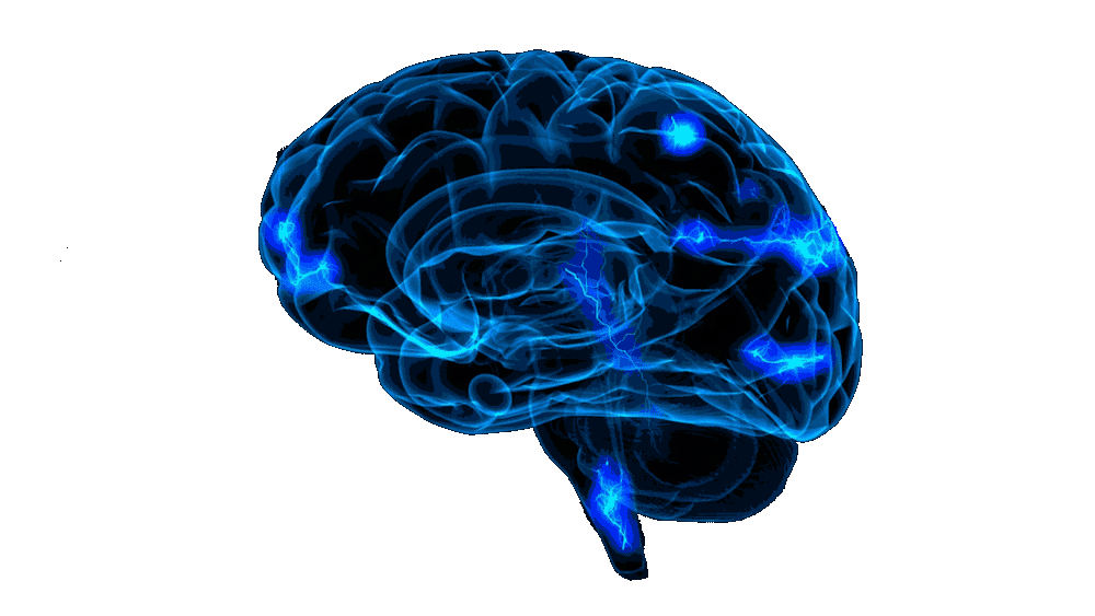 neurallink neurallink