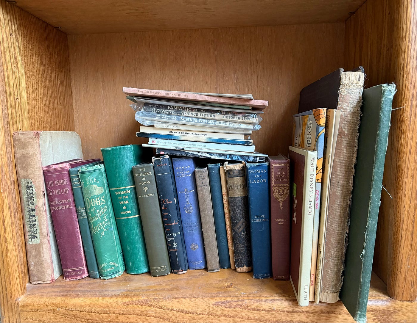 Downsizing is an Exercise in Memory Extraction and Futility