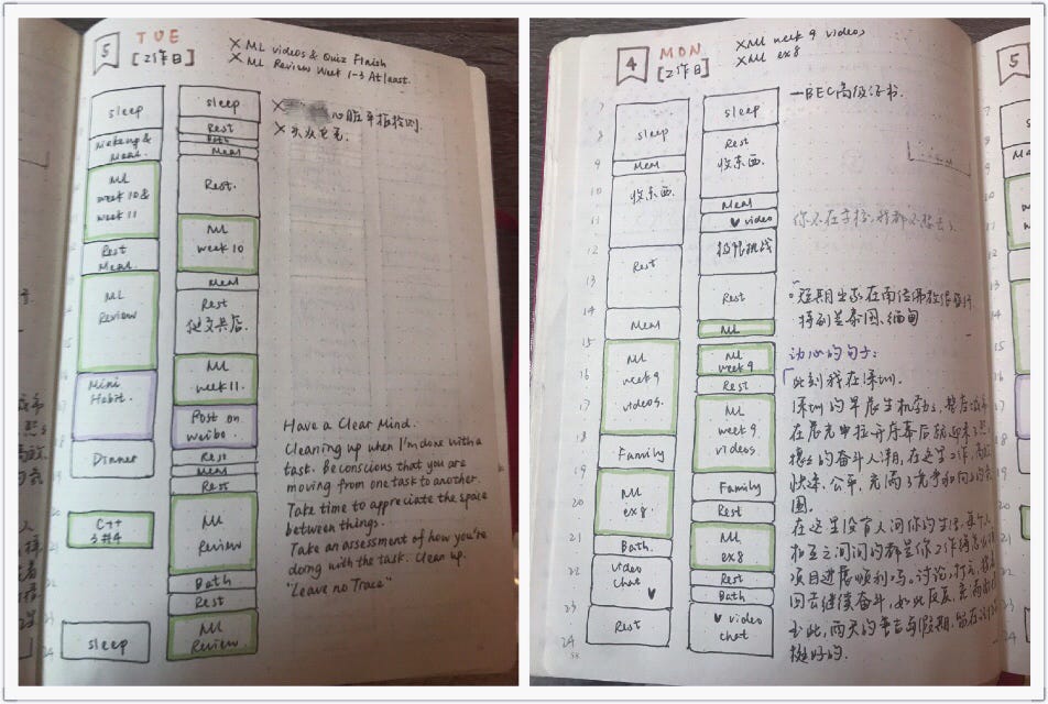 Moleskine 2023 Daily Planner vs Weekly Planner Review