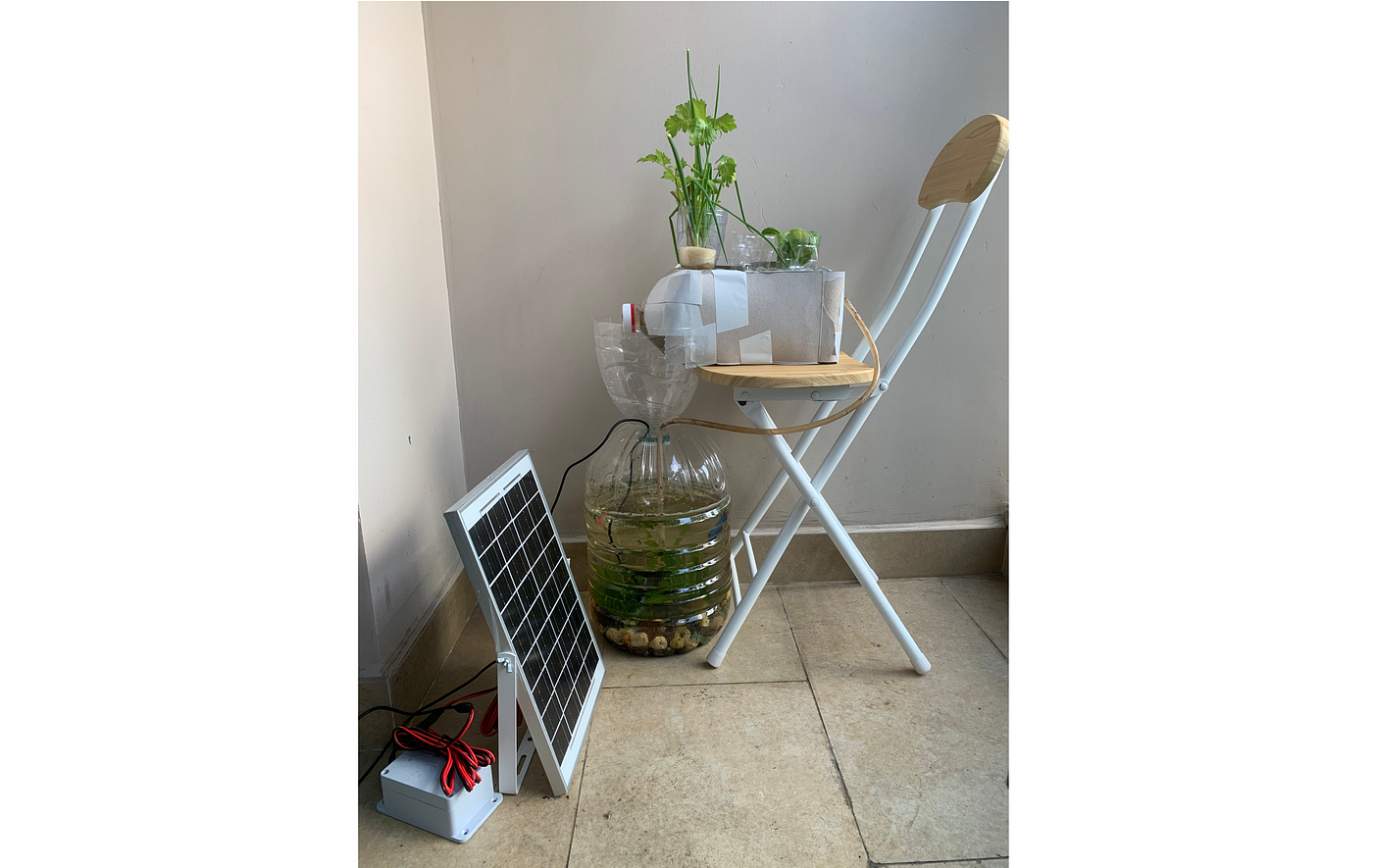 How to Build a Solar Aquaponic System with Plastic Bottles, by Sixing  Huang, The DIY Diaries