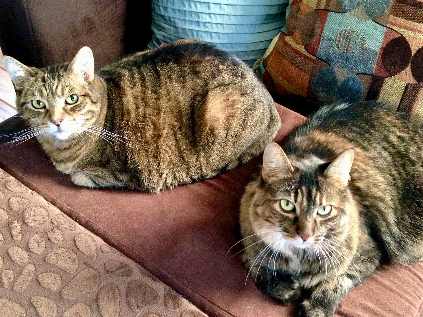 Buddy and Holly. Authors photo