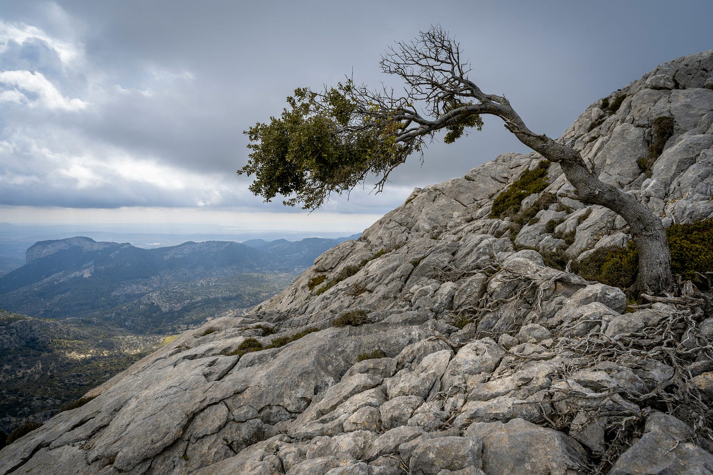 The Ordinary Skill That Builds Extraordinary Lives