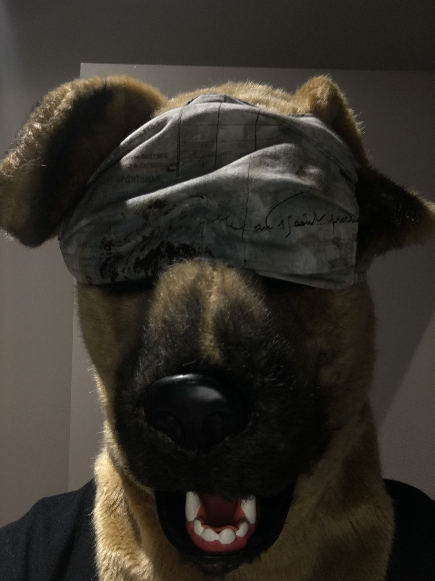 Scary Dog Face Mask