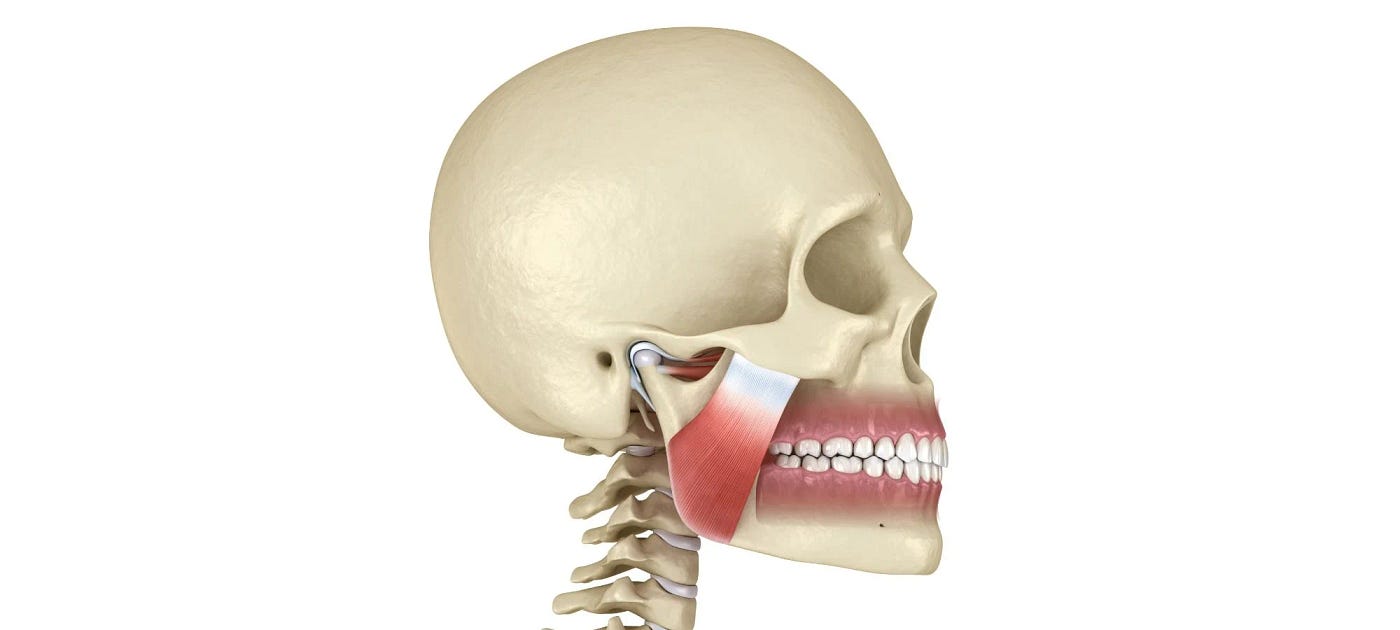 Understanding Temporomandibular Joint Disorders