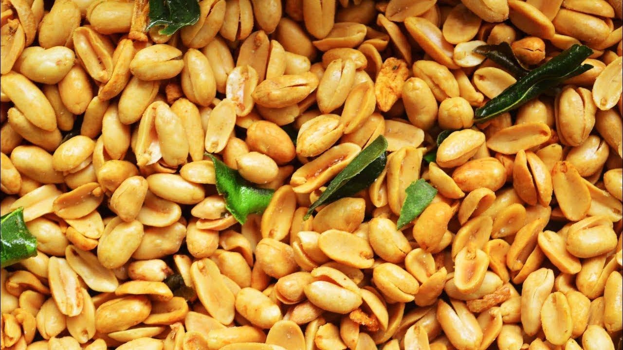 usaha kacang bawang