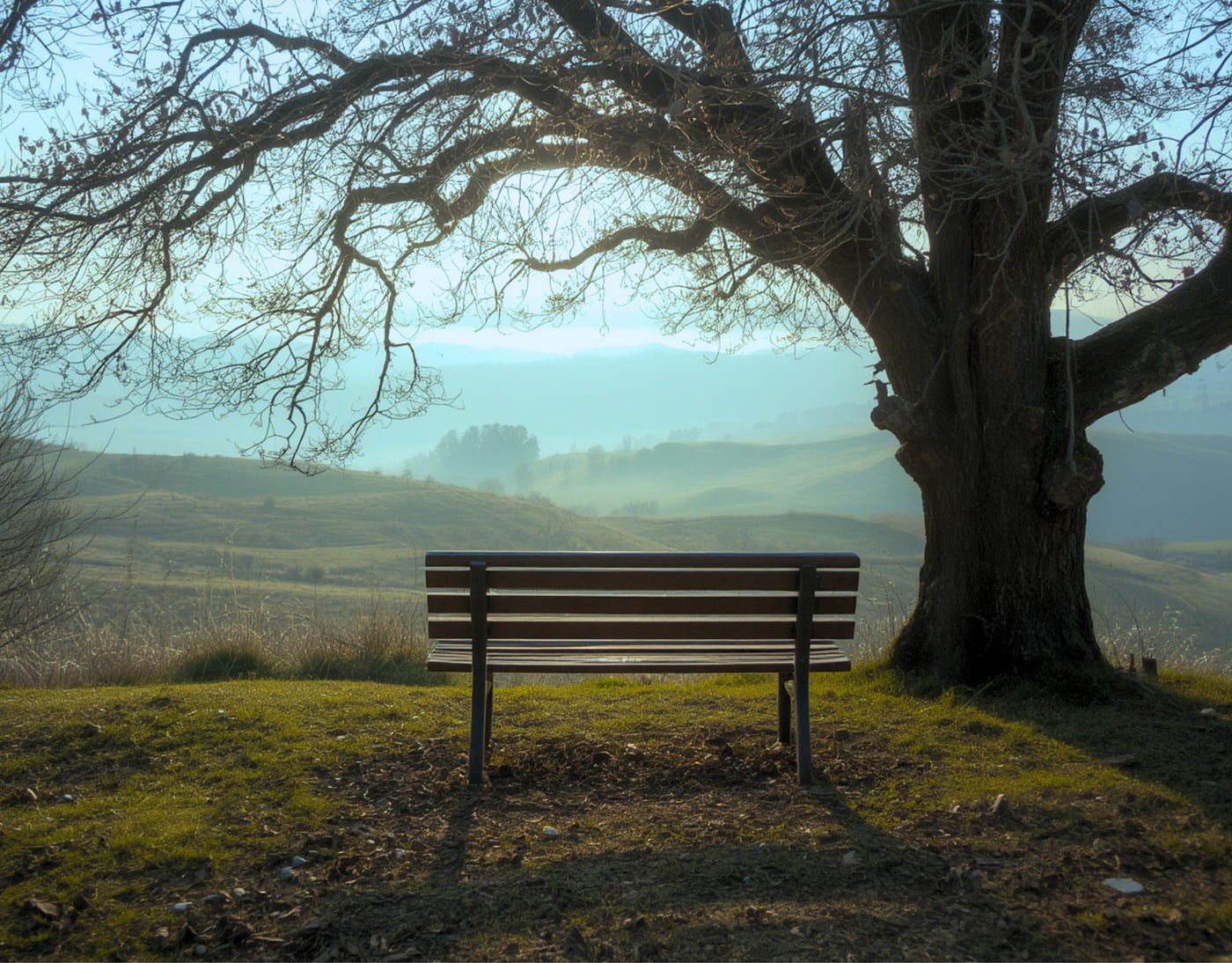 The richest life is often found where there is room to simply be. Image Credit: Canva