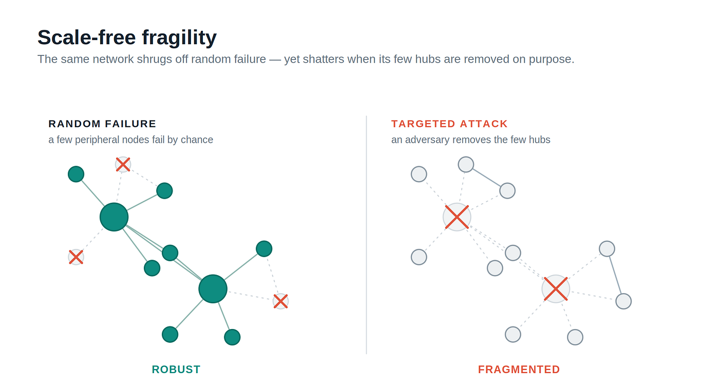 Figure 5. Scale-free fragility: a network can withstand random failures yet fragment rapidly under targeted hub removal.