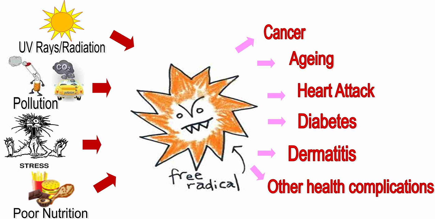 Free radicals: How it affects and what can be done | by Dr Vandana