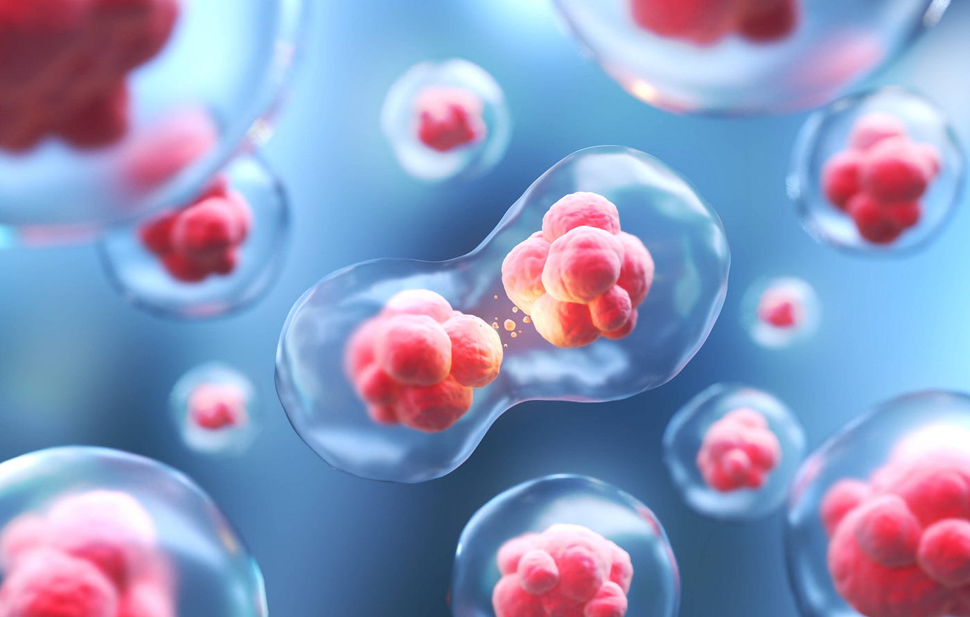 KMD Bioscience- Immortalized Breast Cell