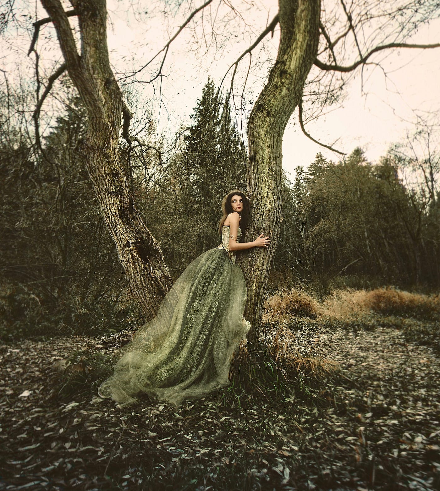 Inna Ignato - Schemmer | LinkedIn, image size:1400x1563