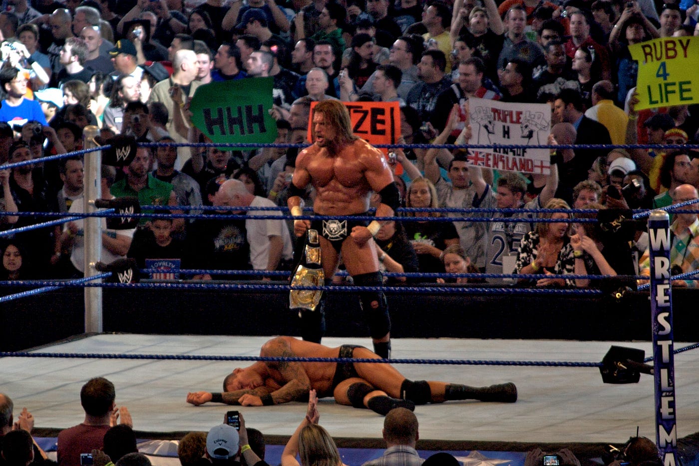 Top 300 WWE Superstars of the WrestleMania Years by Mike Chin Medium photo