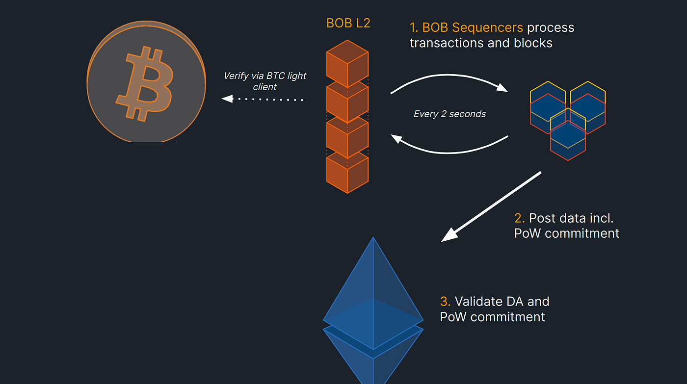 Bitcoin Layer 2 Landscape. How to secure layer 2s using Bitcoin? | by Mahdi  Darabi | TeleSwap