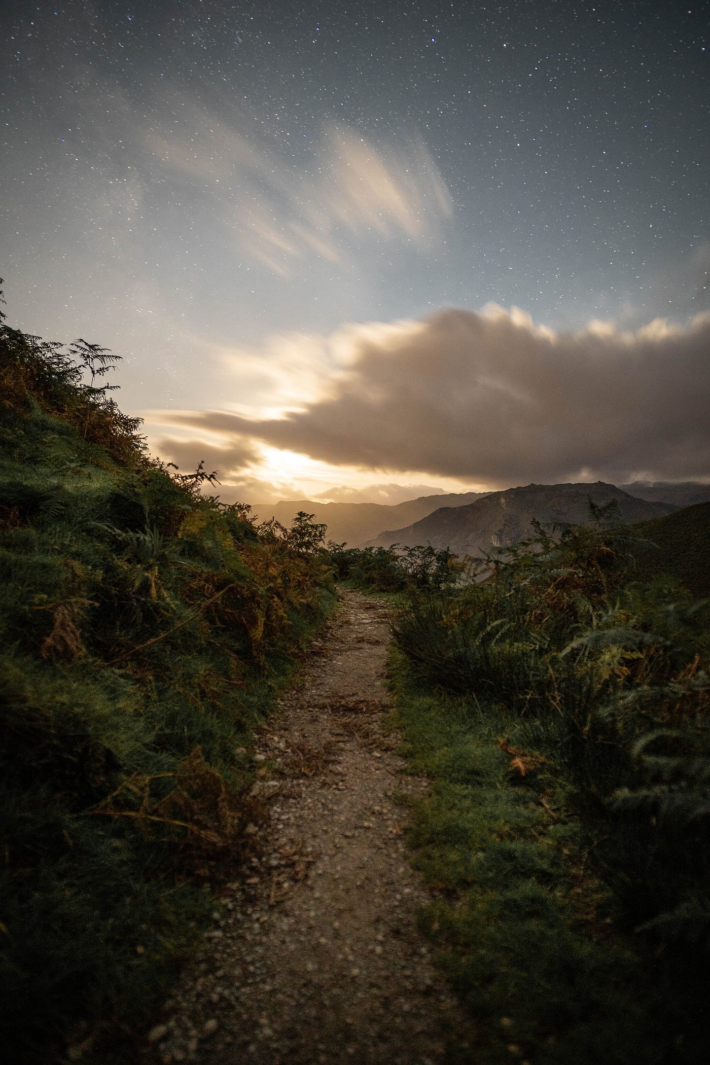 Photo by Lukas Hartmann from Pexels