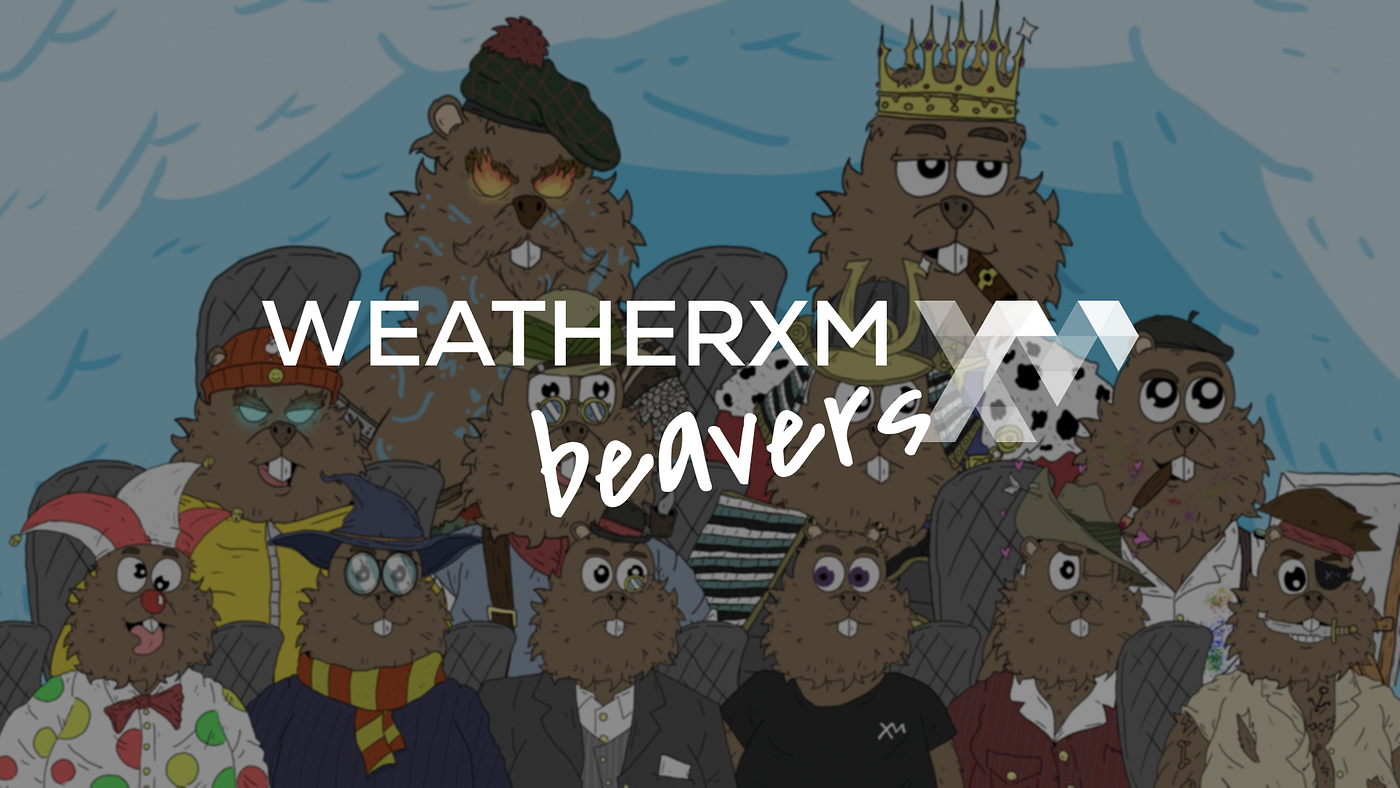 Meet the WeatherXM Beavers!