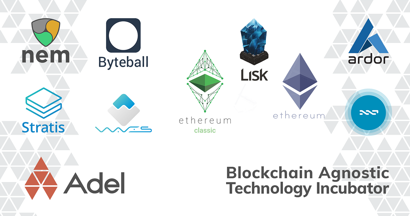 ADEL — The Bruce Lee of Blockchains | by R0bInI0 | Medium