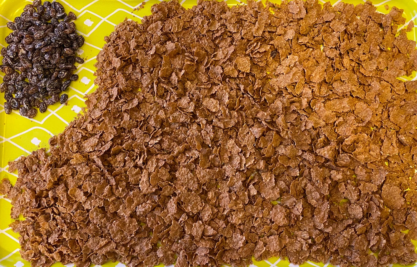 Raisin Bran raisin-bran