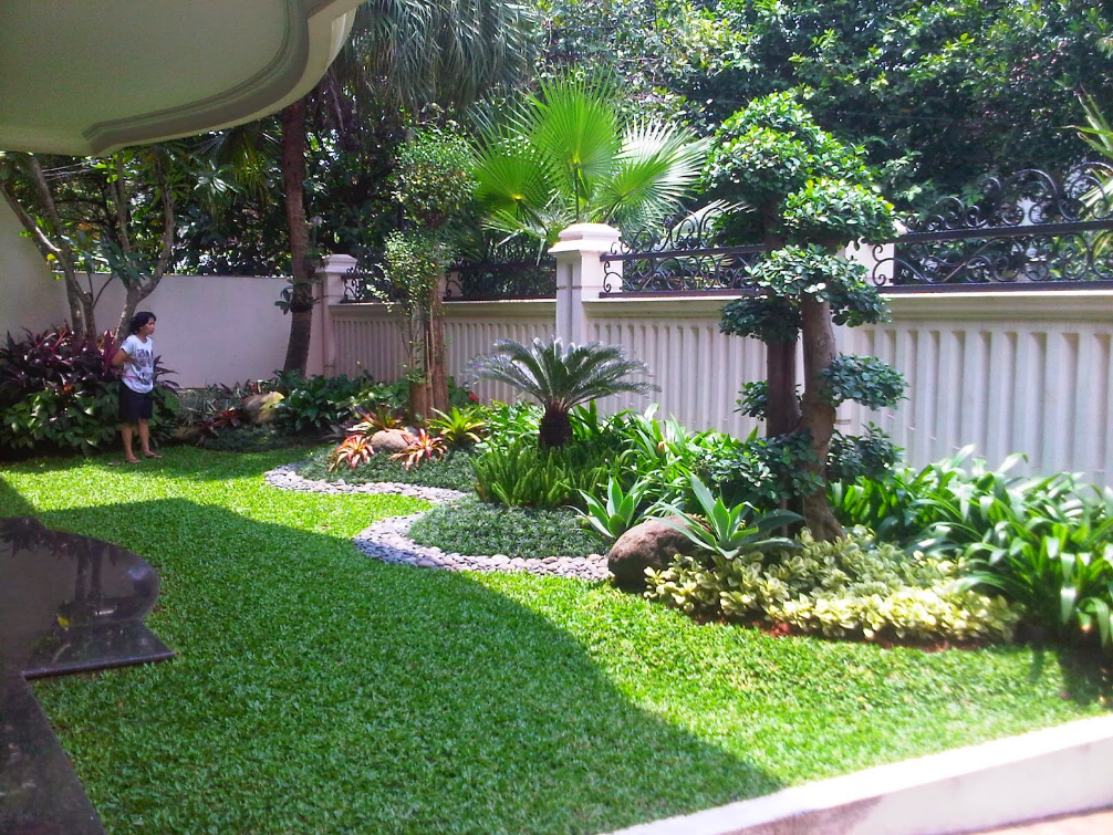 Tanaman Herbal yang Mudah Ditanam di Taman Depan