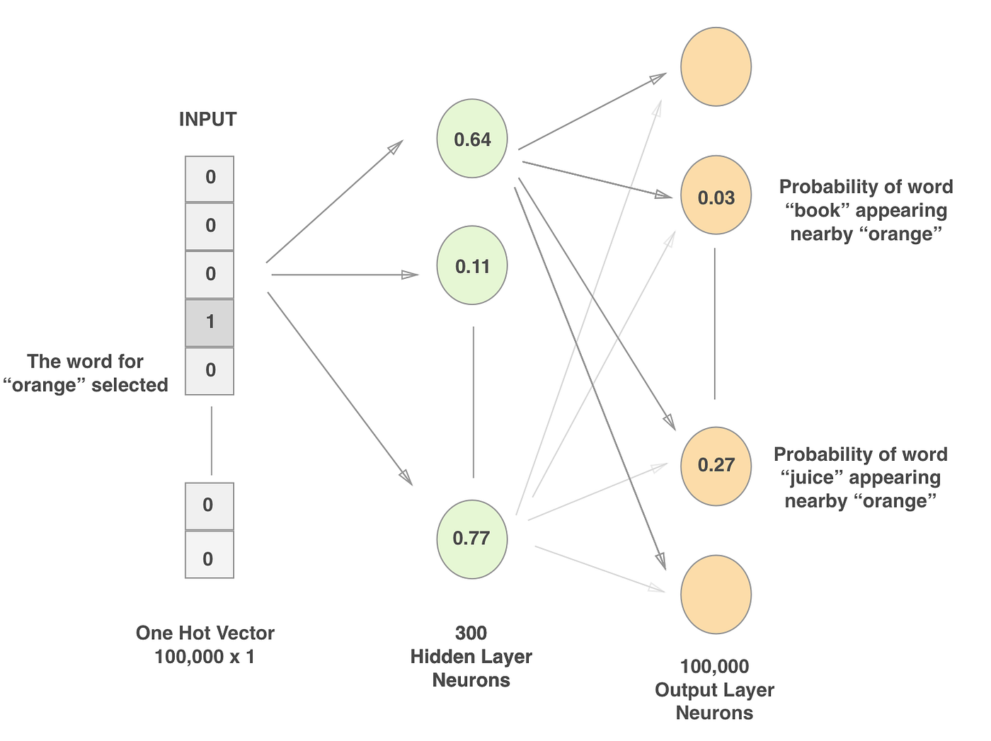 Vector embeddings