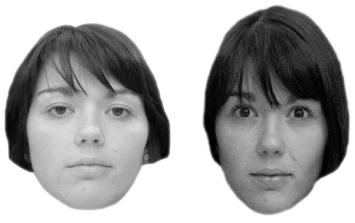 Are you a super-recogniser?. Do you recognise this pixelated face… | by  David White | Medium