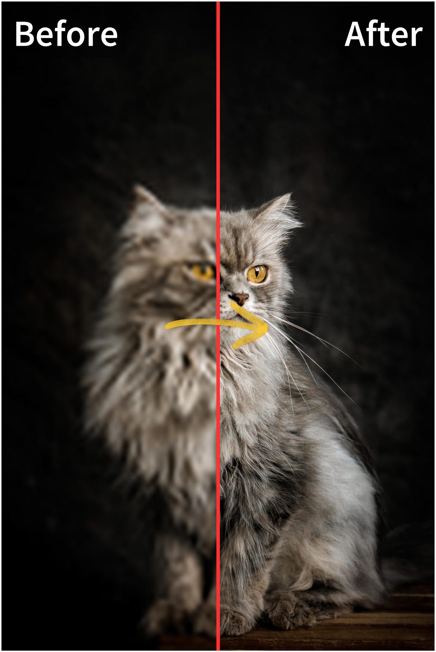 Transform Your Visual Content: Find the Future of Storytelling with iFoto’s AI Video Enhancement