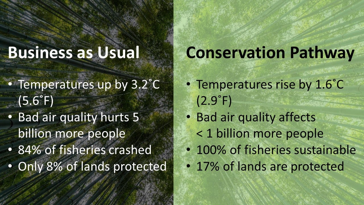 State of The Nature Conservancy. Every year, I look forward to
