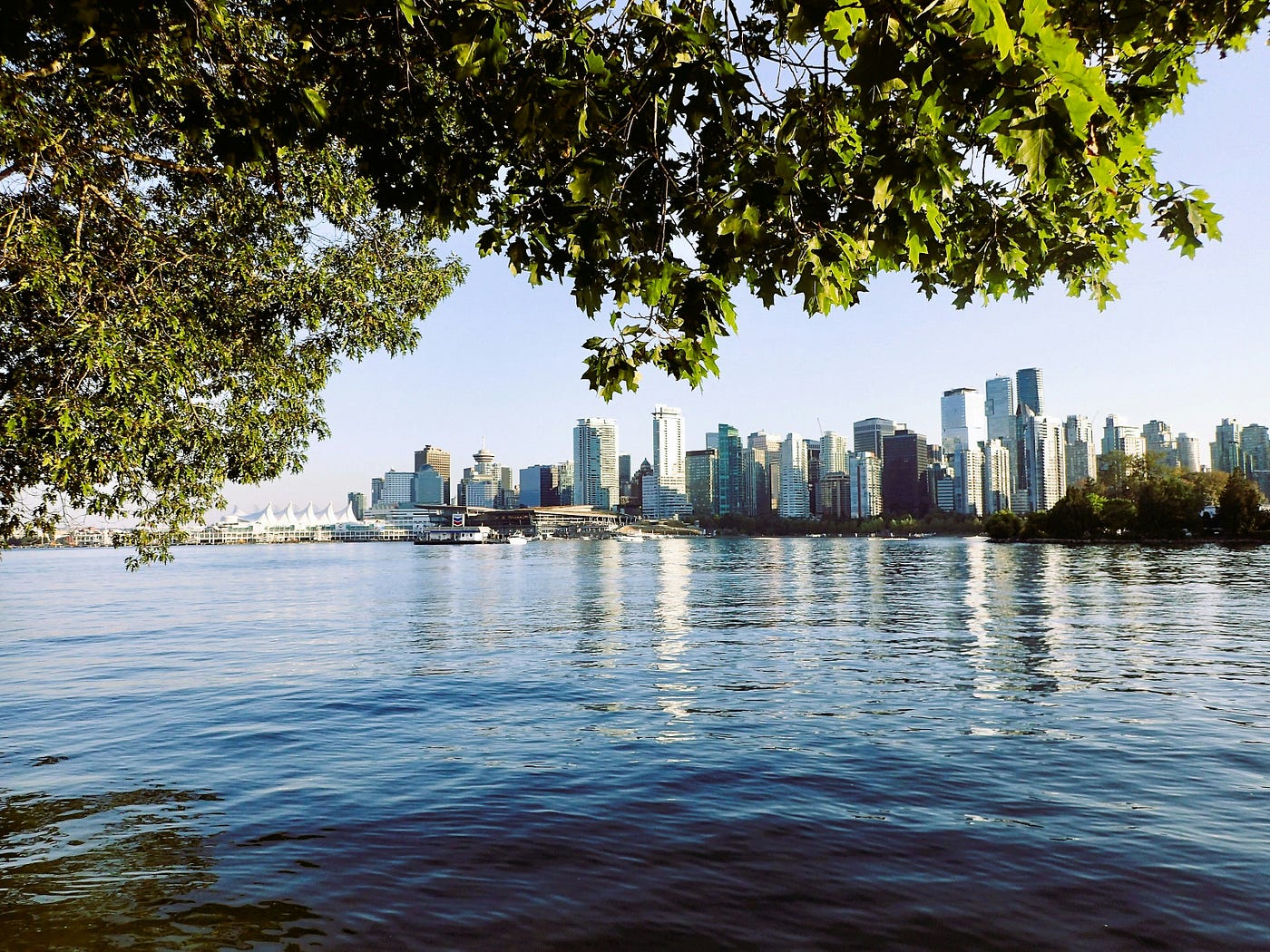 How Cities Around the World Are Collectively Acting to Confront the Climate Crisis
